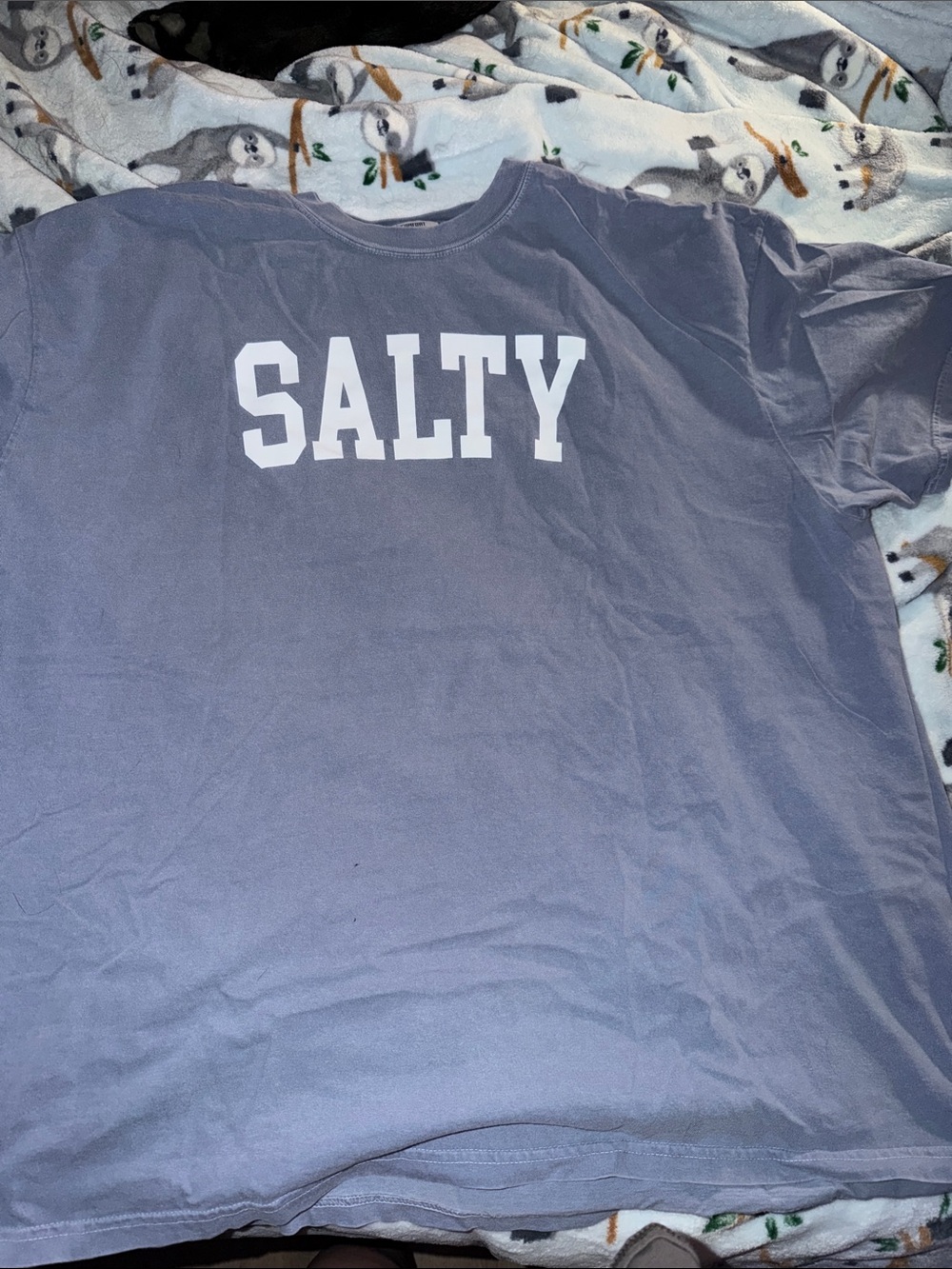 Comfort Colors "SALTY" Short Sleeve Tee in Light Purple